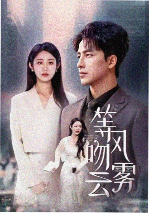 都市创业剧集小城合伙人的招牌卡封面